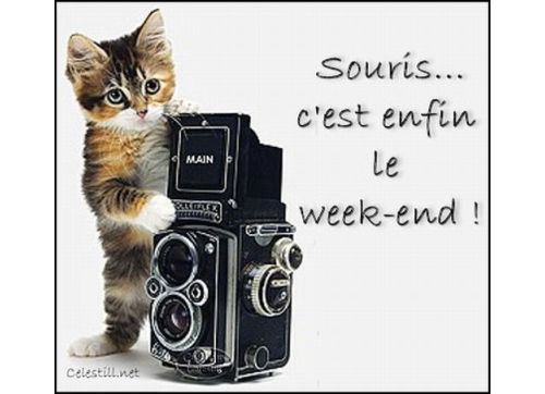 souris_cest_enfin_le_week_end