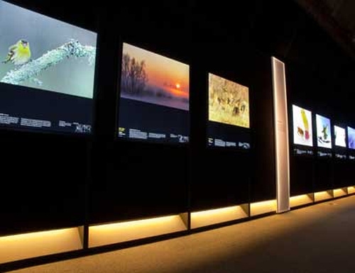 wildlife_photographer_of_the_year_the_mall_athens