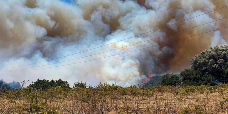 Fotia eyboia karystos kapnos