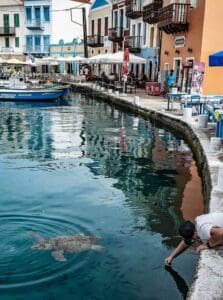 120840938 1033261650420411 3949792270791766779 n