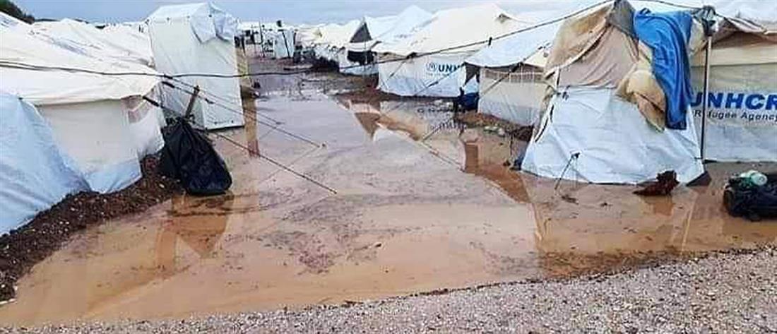 1100 29465629 a34c 4833 b4a8 203f12d5e65c (1)