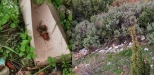 σκουπίδιαall2