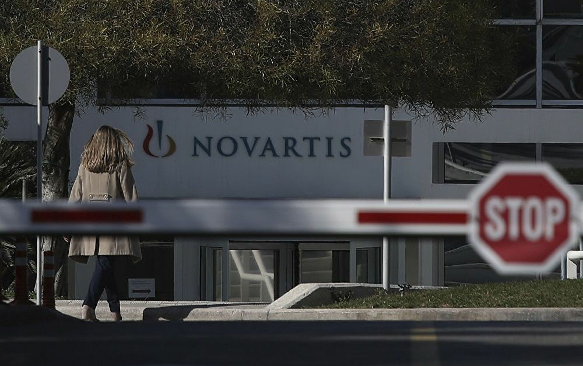 6427967 0 5 1000 633 1920x0 80 0 0 b7c880ab9c0e68c10a34d6e44daed012