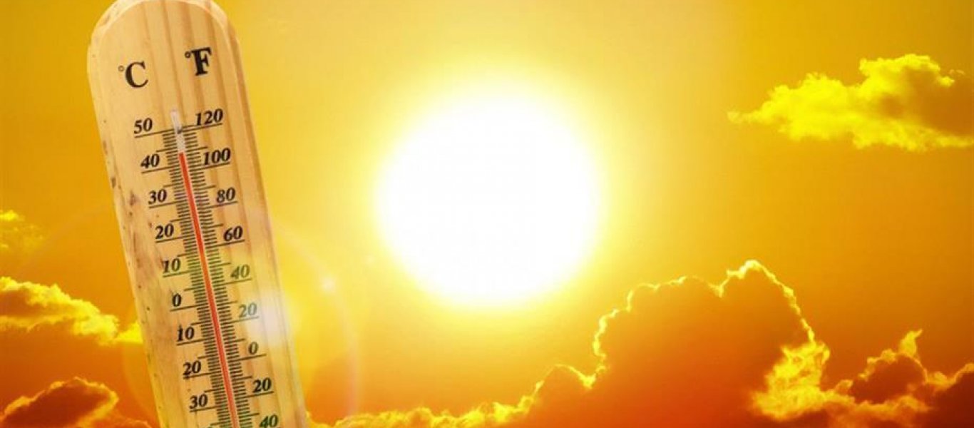 1478955 kafsonas 930 1