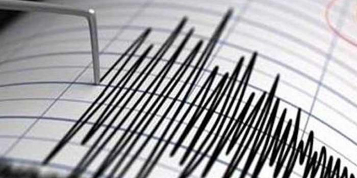 Seismografos
