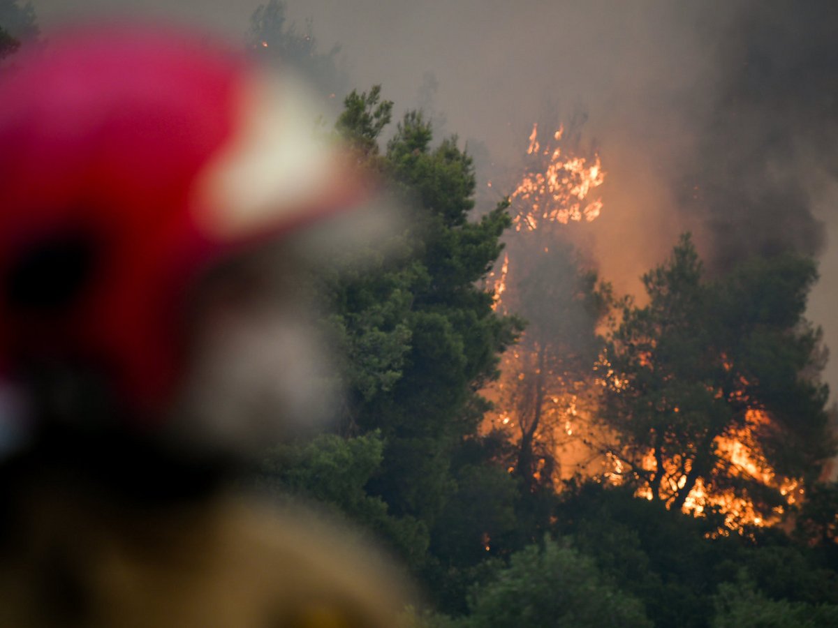 Purkagia euboia kexries