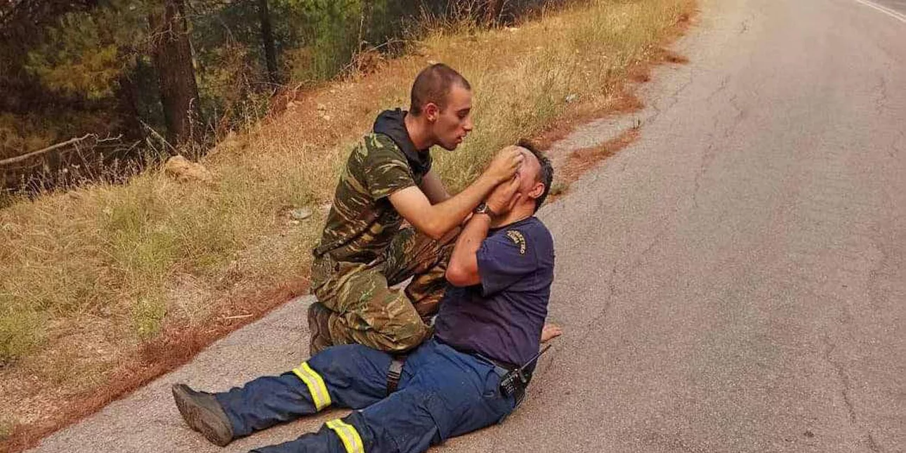 Stratiotis prosferei boitheia purosbestes jpg