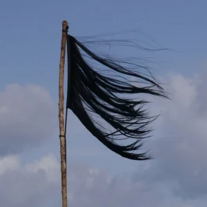 307639973 790092668784364 1835869705876174962 n