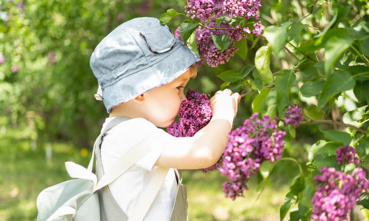 Paidia maios xaraktiristika 2022 1