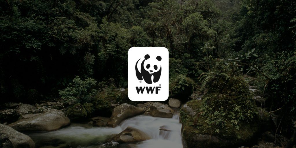 Wwf