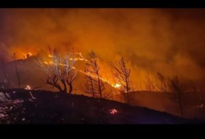 F1yevkvx0aehhqf 696x470