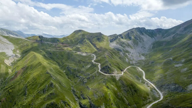 N3 dasi