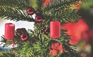 Christmas tree 4596104 1920