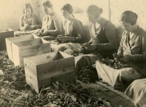 583053ac0190cd809859c0f46aed61fa