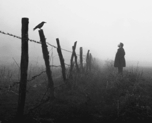 Στιγμιότυπο οθόνης 2024 06 29 193247