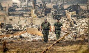 California fires