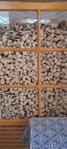 Thumbnail 2025 04 18t214253 060