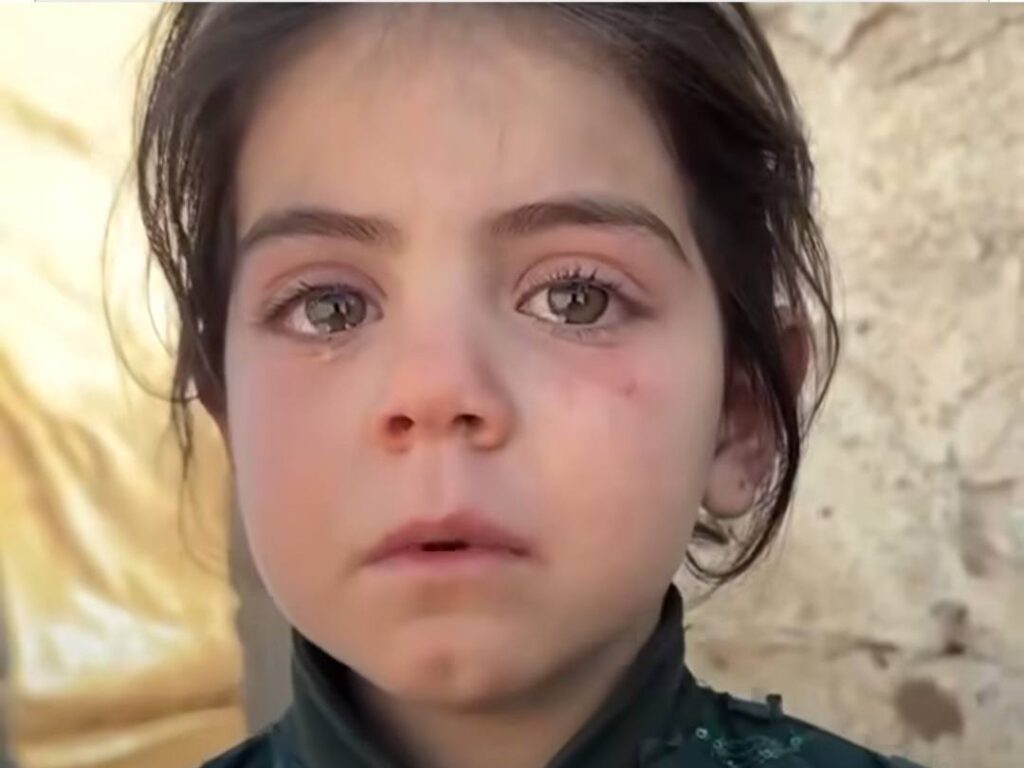 501498195 2176473229492081 8419873070162936819 n