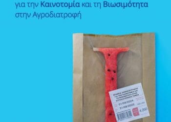 Mail (21)