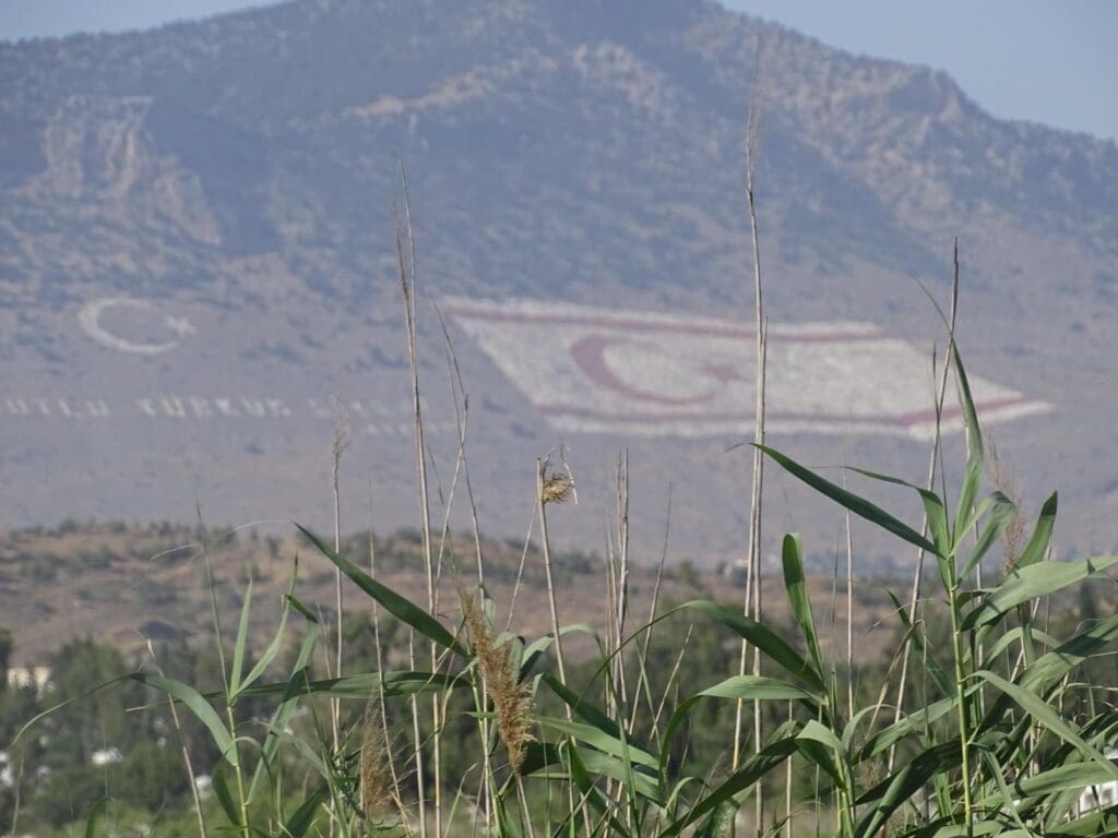 489826163 10229010905120563 4108814817082915229 n