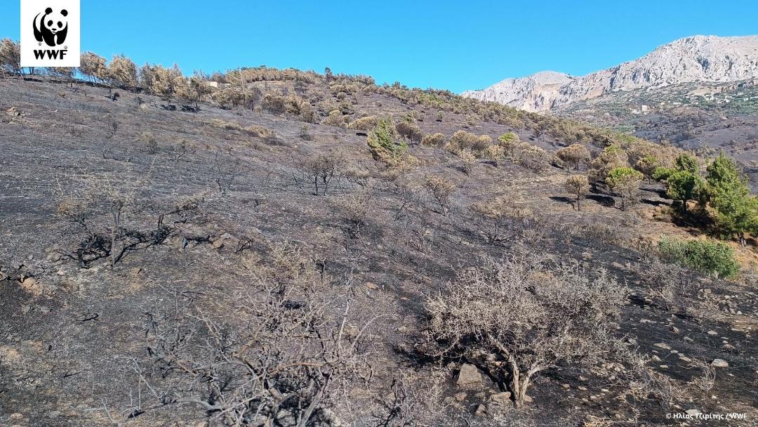 Thumbnail 2025 07 05t091746 681