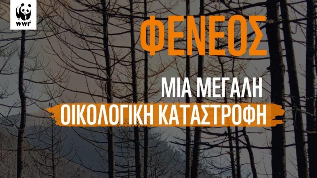 Thumbnail 2025 07 27t061225 003