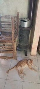 Thumbnail 2025 07 29t113217 775