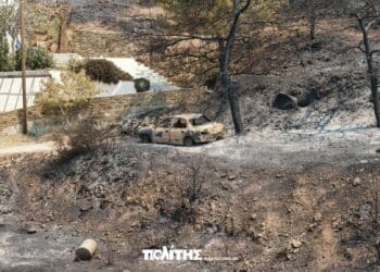 531115436 1406924664770320 2327844904161687595 n (1)