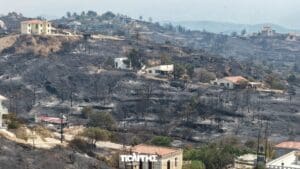 531320698 1406924911436962 5215653661007907768 n (1)