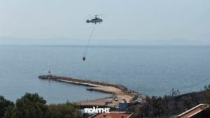 531389128 1406924888103631 2631904054076346272 n