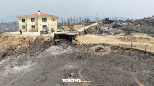 533411168 1406924834770303 5703948124720644470 n