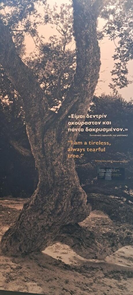 Thumbnail 2025 08 06t223516 653