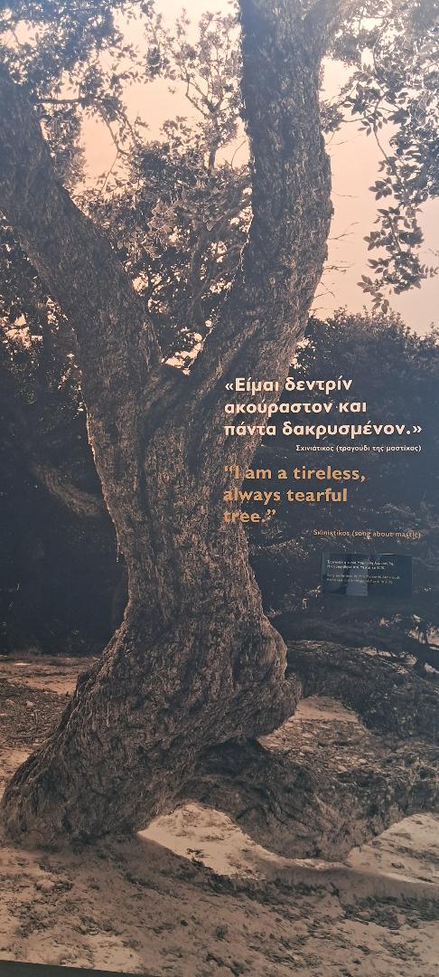 Thumbnail 2025 08 06t223516 653