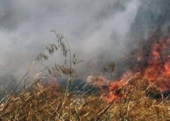 W07 142713w03164536w07153948w2962711fotia21