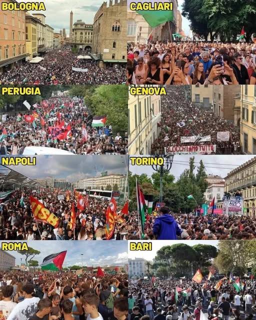 555446487 1185257130298595 1796602518816930289 n