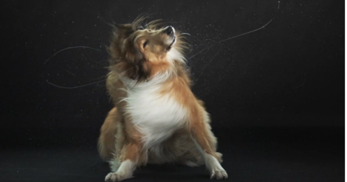 Article3697 w hr (1)