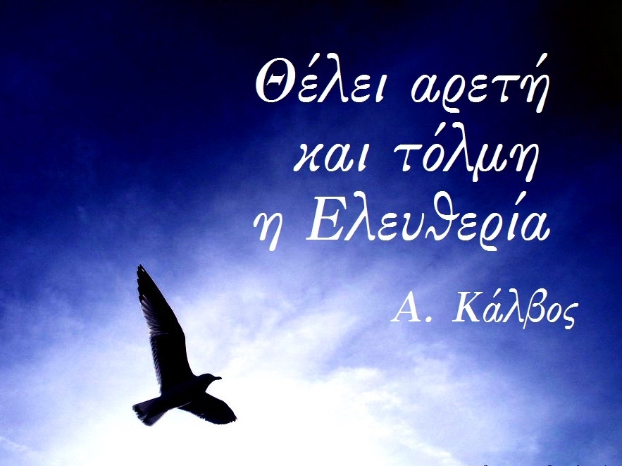 Freedom by fr1gidity d2ntt07α