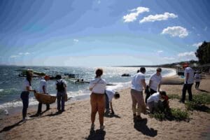 ΔΕΗ καθαρισμός παραλίας 2048x1365