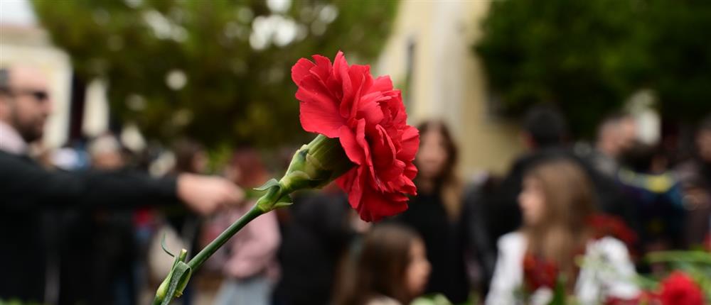 1000 2b11ee5d cbd2 4dac 8e67 de3857a09bb7