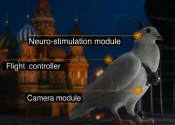 Chatgpt image 28 Νοε 2025 01 38 45 μ μ