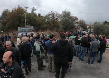 Xx 252863 177106 type13262