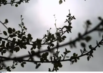 Kairos astatos in 0305 scaled 1