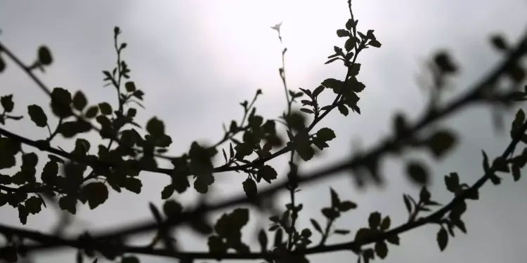 Kairos astatos in 0305 scaled 1