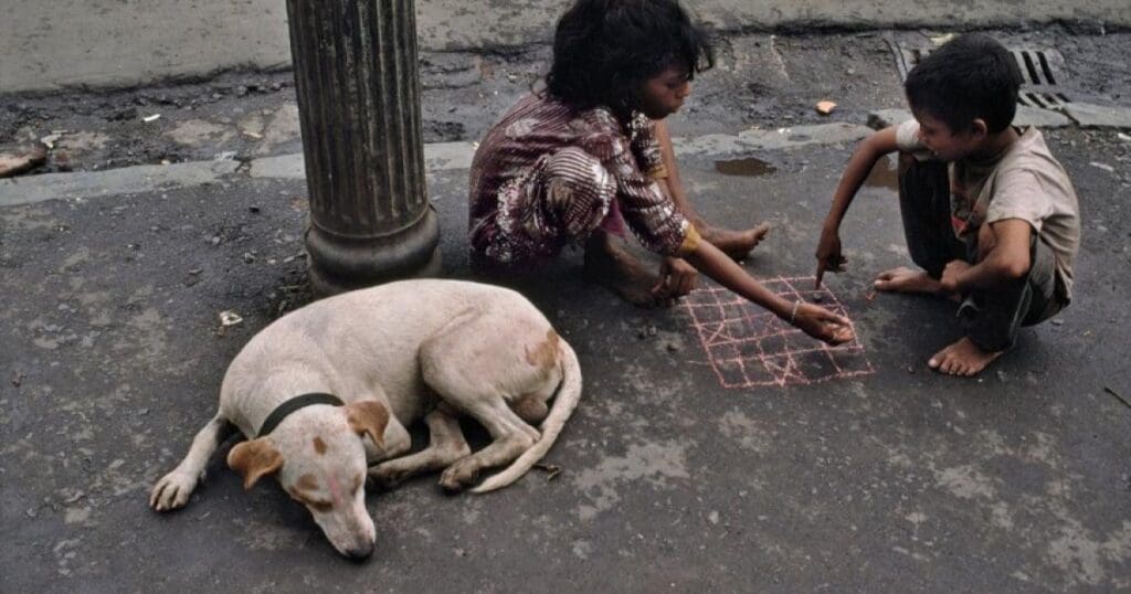 1517518 604697956271856 155159086 n