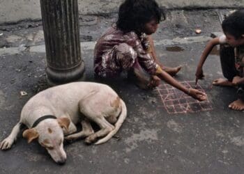 1517518 604697956271856 155159086 n