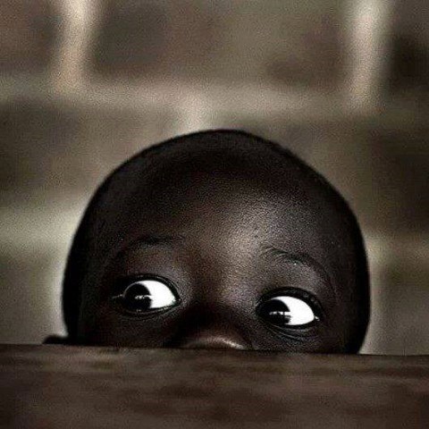 617874874 2399604220479848 8569443261865516593 n