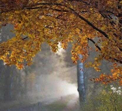 89123128 de57 4a60 be71 f868fb5b1f17