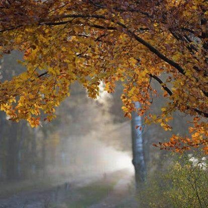 89123128 de57 4a60 be71 f868fb5b1f17