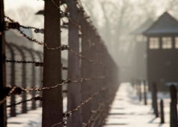 Capture 20230127 123448