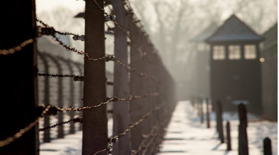 Capture 20230127 123448